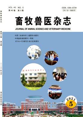 畜牧兽医杂志封面