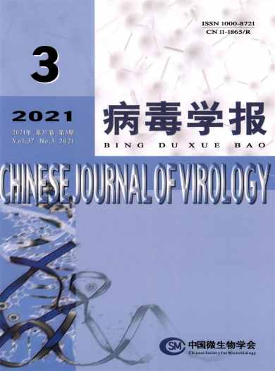 病毒学报杂志封面