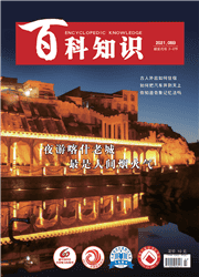 百科知识杂志封面