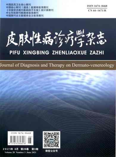 皮肤性病诊疗学杂志封面