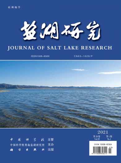盐湖研究杂志封面