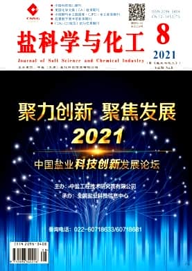 盐科学与化工杂志封面