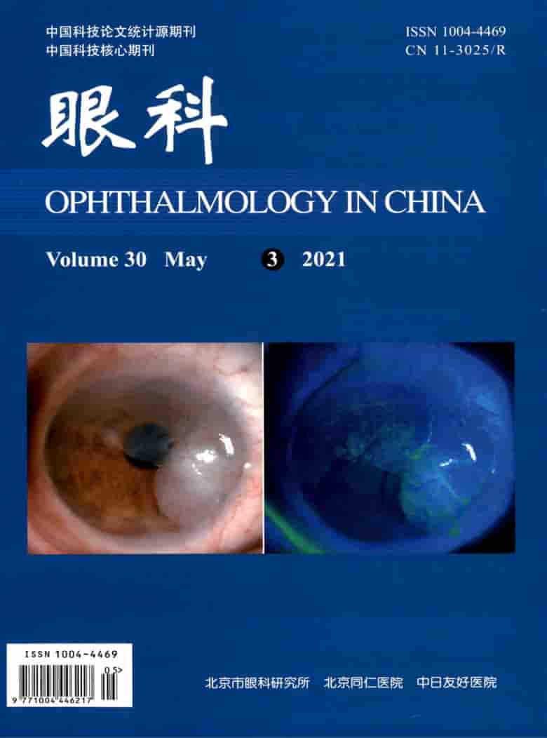 眼科杂志封面