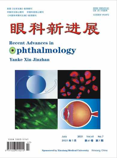 眼科新进展杂志封面