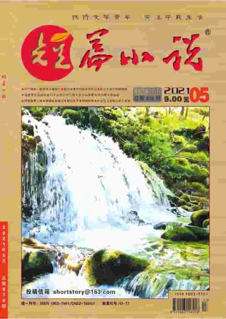 短篇小说杂志封面