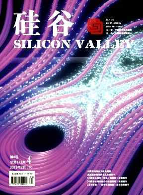 硅谷杂志封面