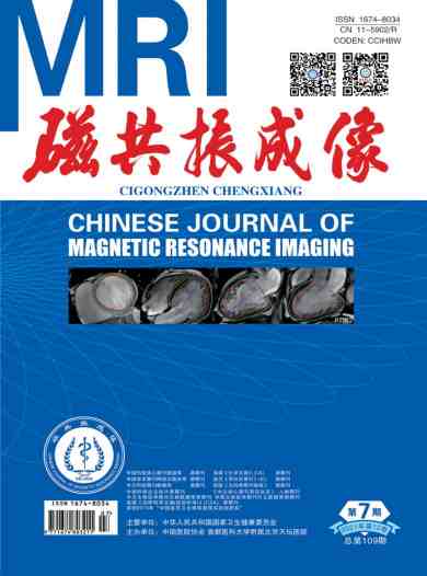 磁共振成像杂志封面