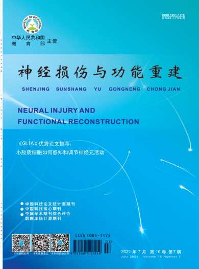 神经损伤与功能重建杂志封面