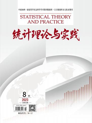 统计理论与实践杂志封面