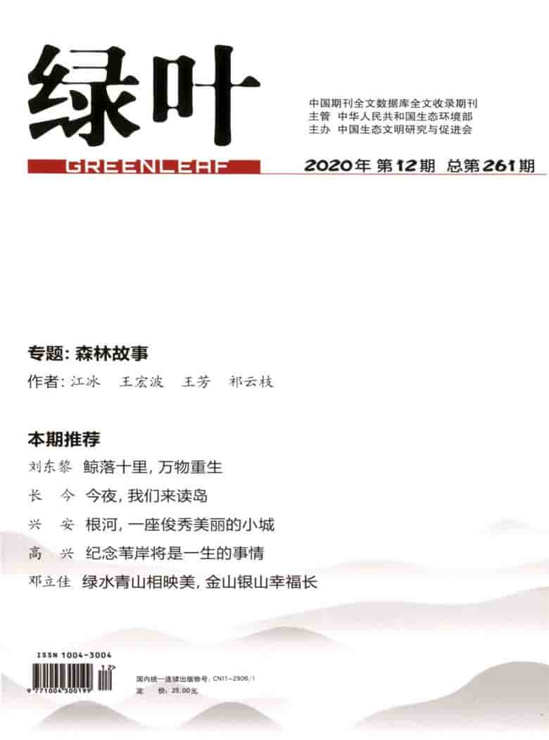 绿叶杂志封面
