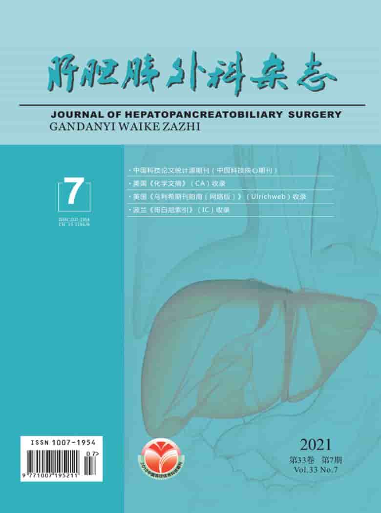 肝胆胰外科杂志封面