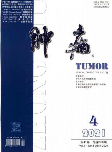 肿瘤杂志封面