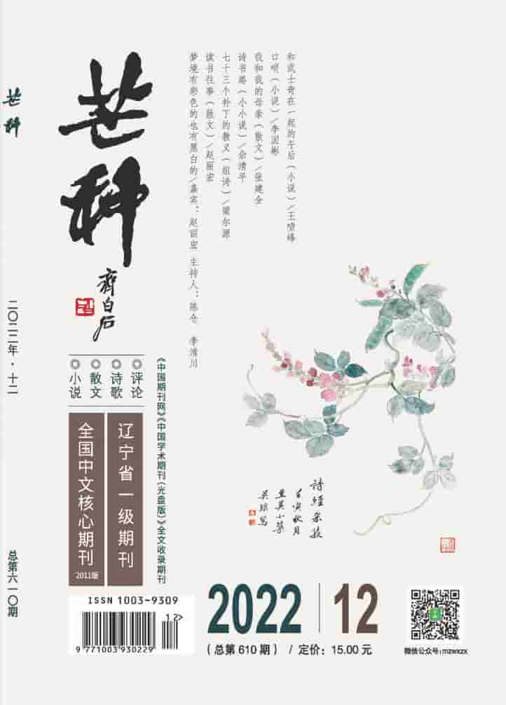 芒种杂志封面