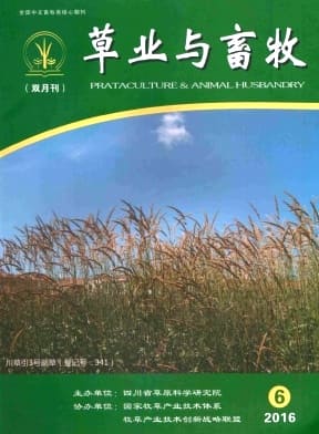 草业与畜牧杂志封面