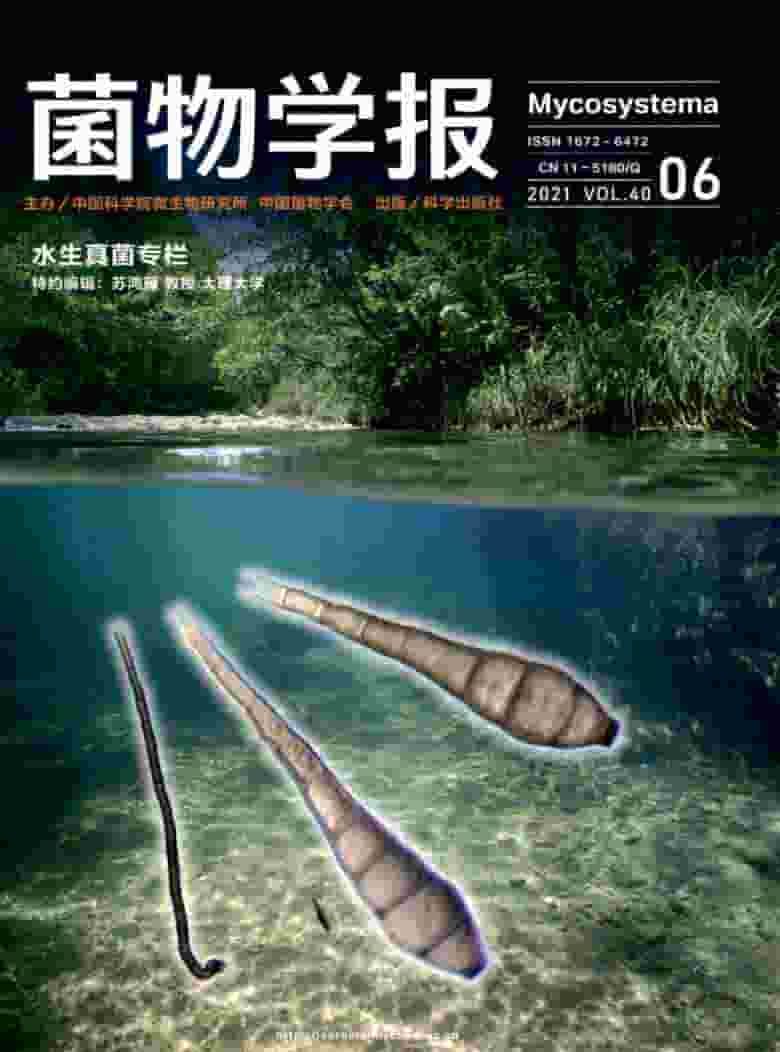 菌物学报杂志封面