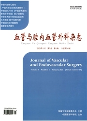 血管与腔内血管外科杂志封面