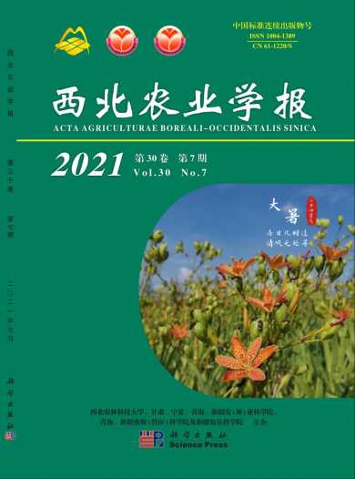 西北农业学报杂志封面