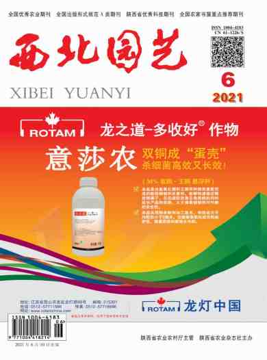 西北园艺杂志封面