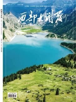 西部大开发杂志封面