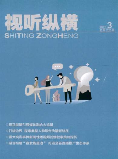 视听纵横杂志封面