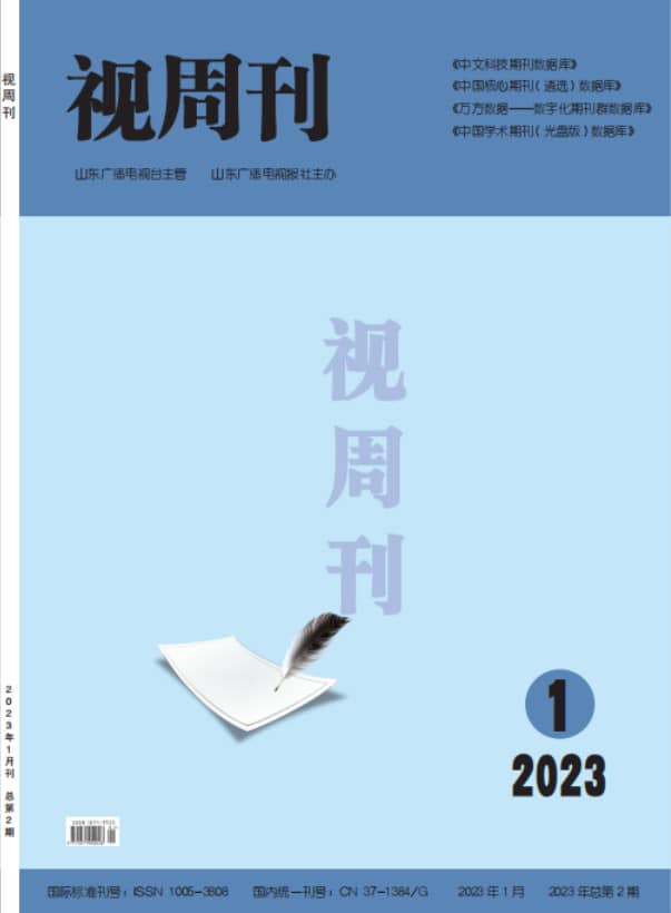 视周刊杂志封面