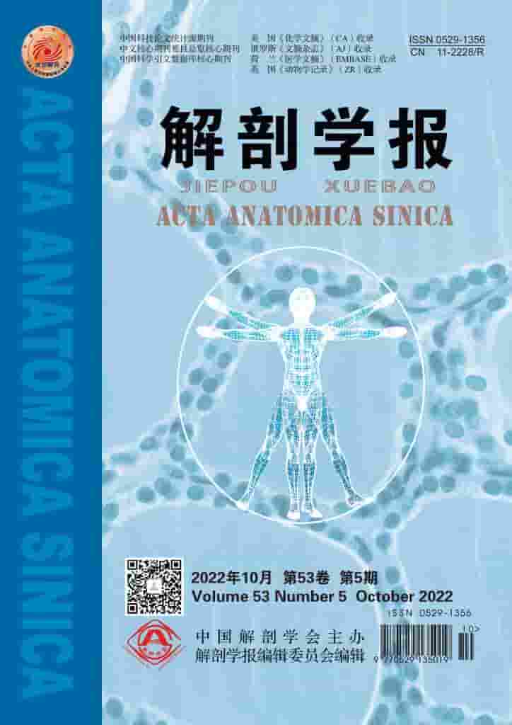 解剖学报杂志封面
