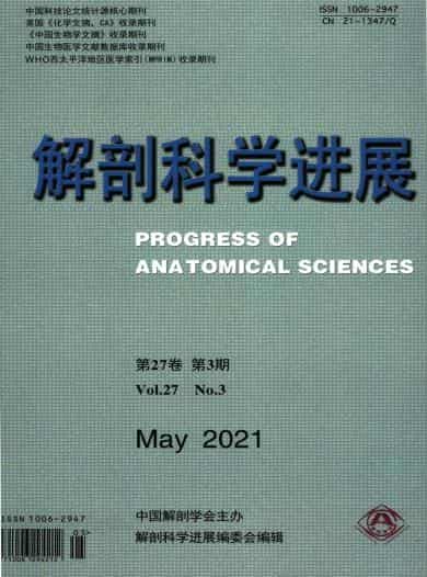 解剖科学进展杂志封面