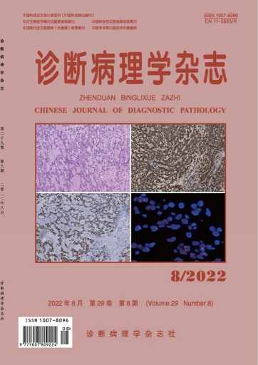 诊断病理学杂志封面