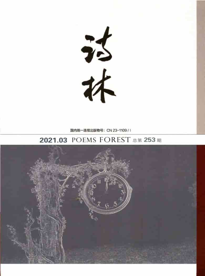 诗林杂志封面