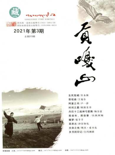 贡嘎山杂志封面