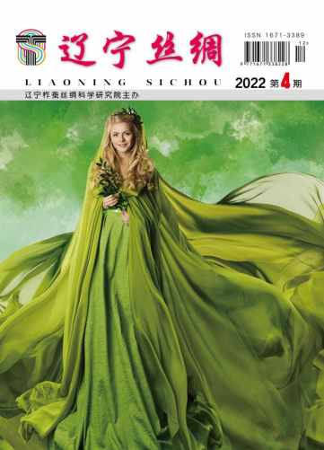 辽宁丝绸杂志封面
