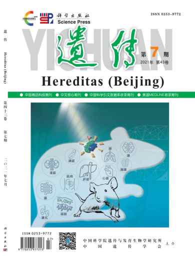 遗传杂志封面