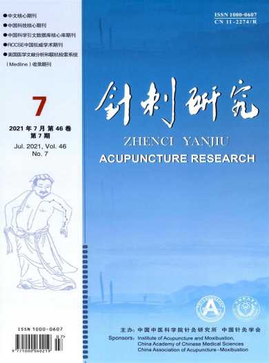 针刺研究杂志封面