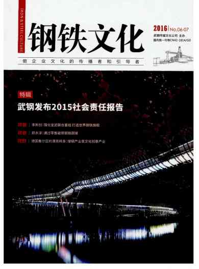 钢铁文化杂志封面
