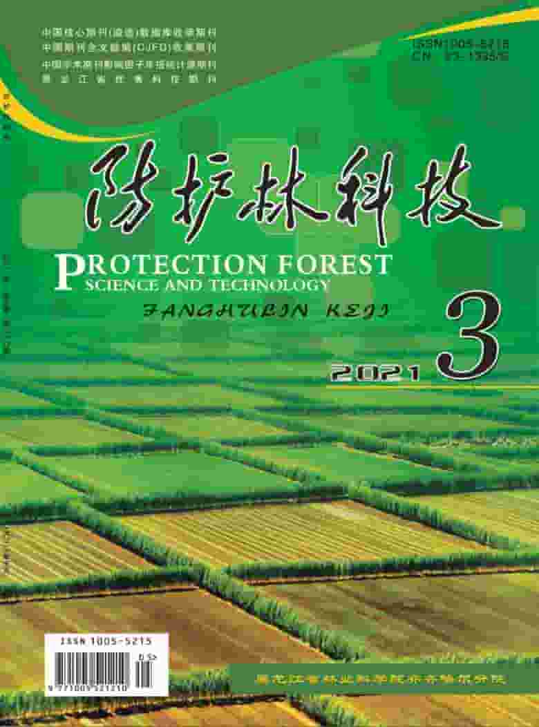防护林科技杂志封面