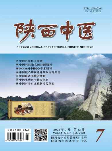 陕西中医杂志封面