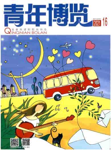 青年博览杂志封面