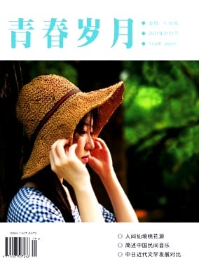 青春岁月杂志封面