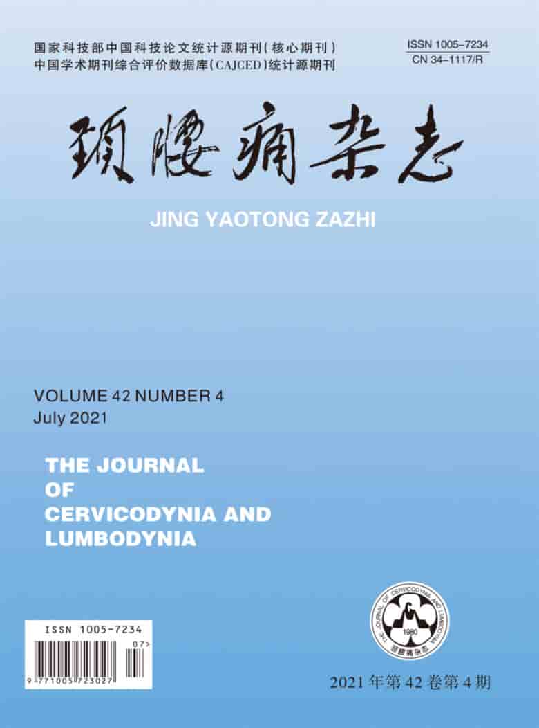 颈腰痛杂志封面
