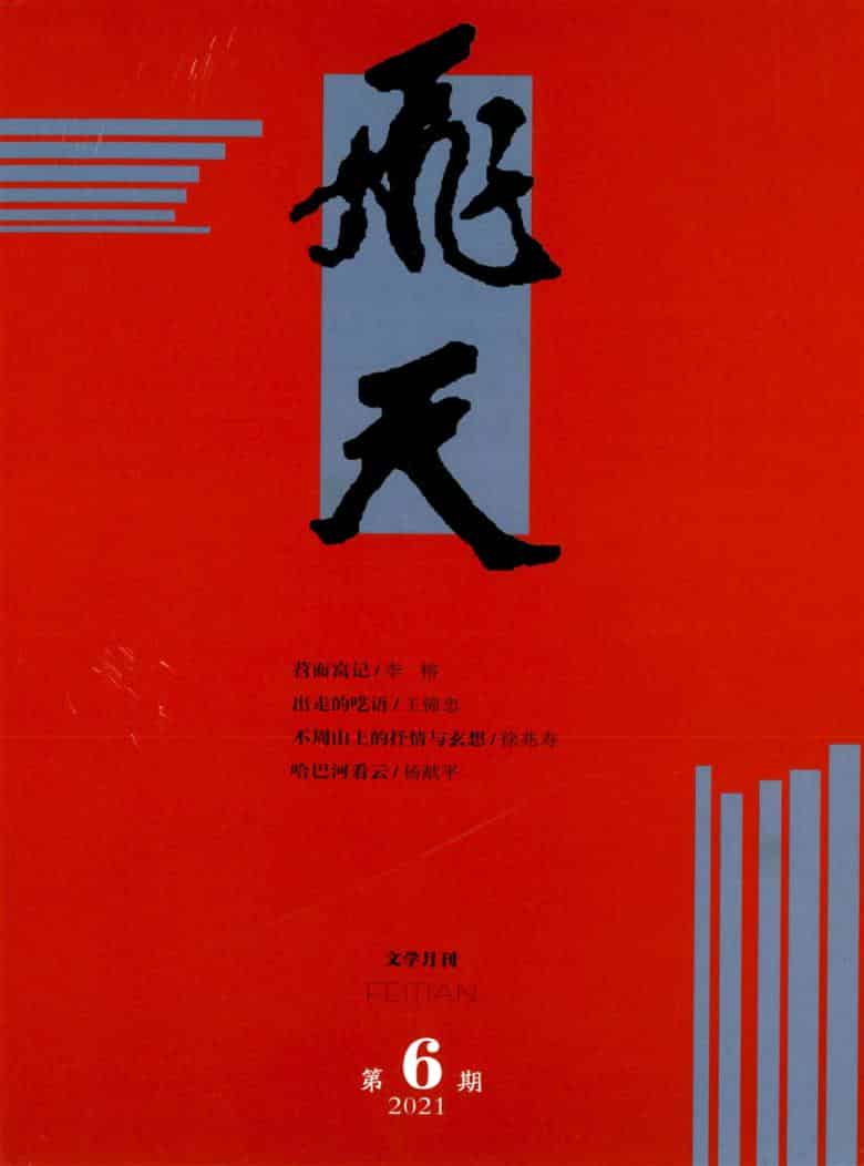 飞天杂志封面