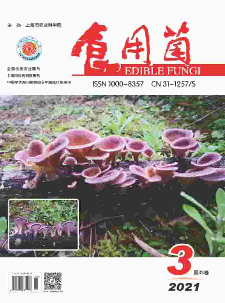 食用菌杂志封面