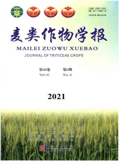 麦类作物学报杂志封面